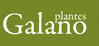 Plantas Galano